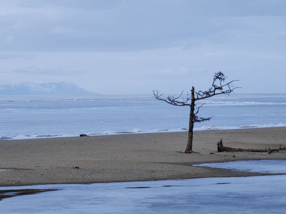 Photograph by Ольга Третьякова