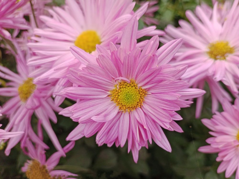 Photo #10682008