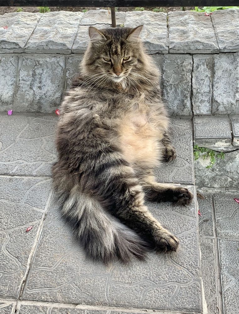 Photograph by Наталья Бирук