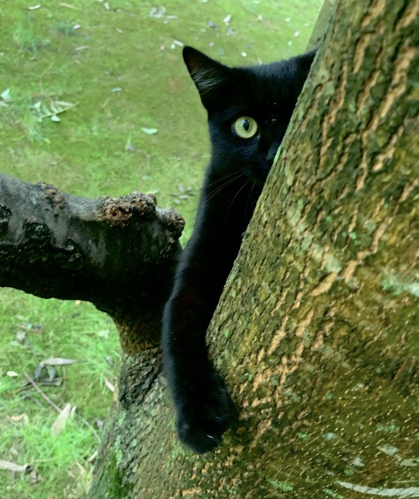 Photograph by Наталья Бирук