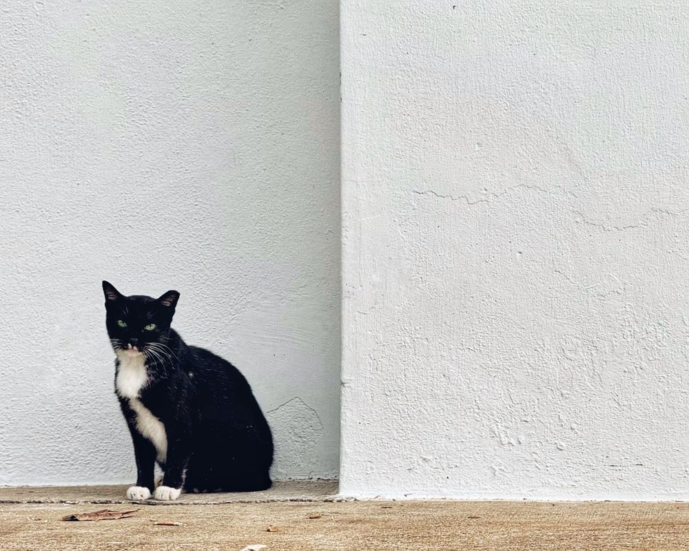 Photograph by Kedar Diwakar Mandakhalikar