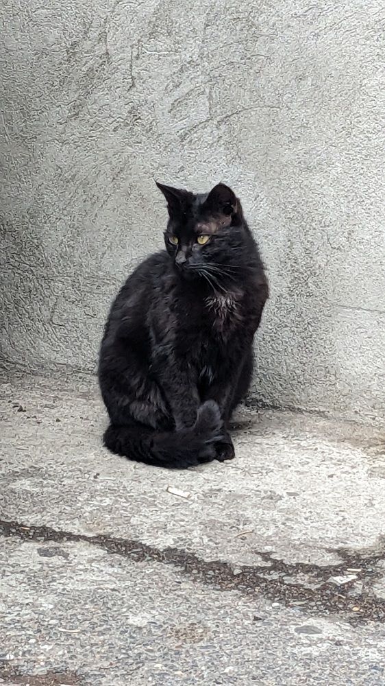 Photograph by Lilit Petrosyan