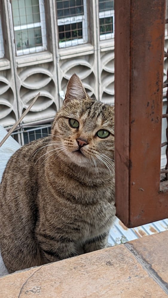 Photograph by Lilit Petrosyan