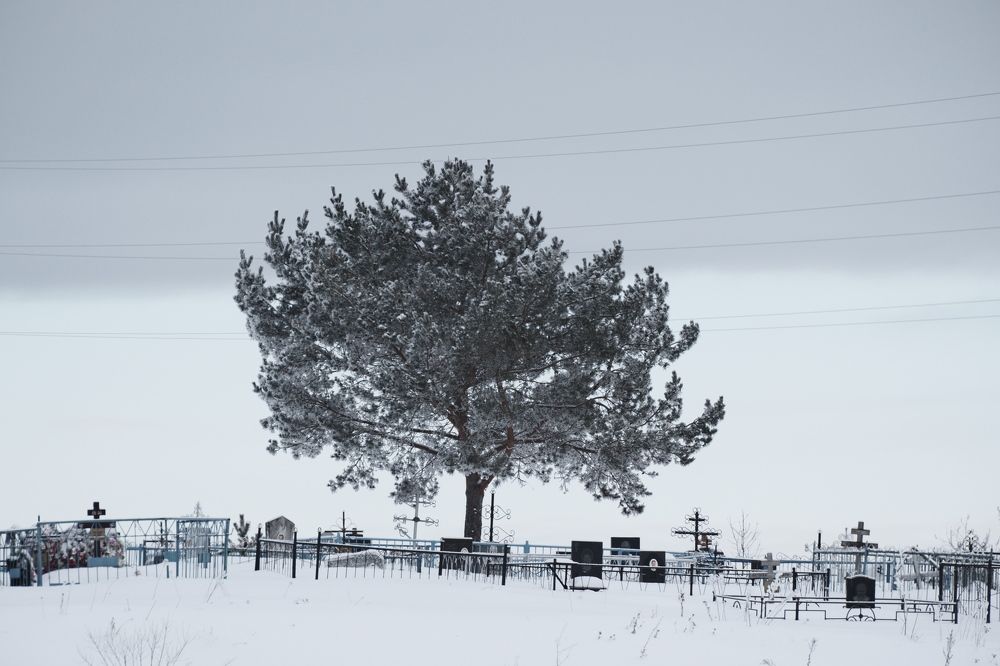 Photograph by Алексей Большаков