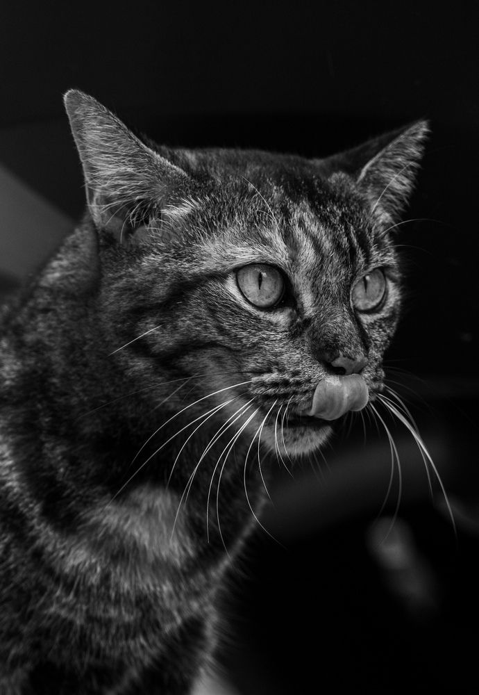 Photograph by Nicholas Ng