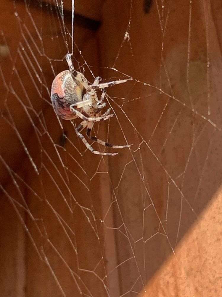 Photograph by Наталья Бирук