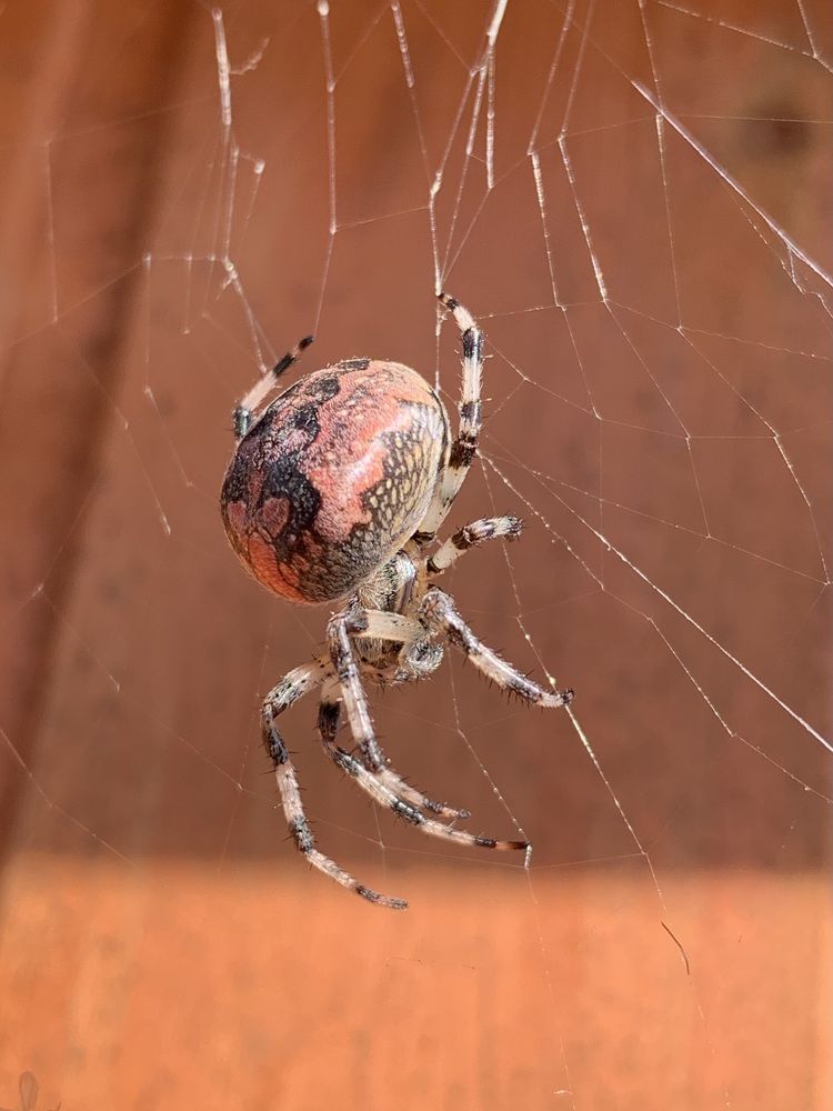 Photograph by Наталья Бирук