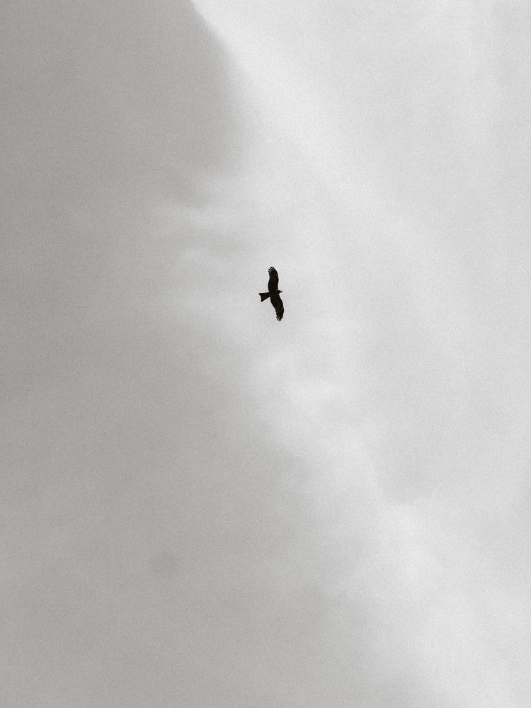 Photograph by Анна Лутошина