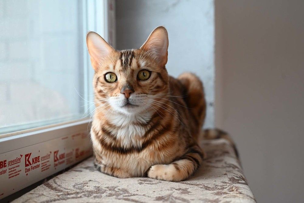 Photograph by Ксения