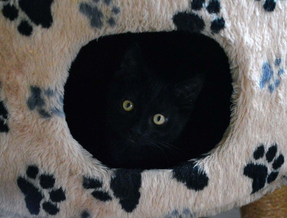 Photograph by Ксения