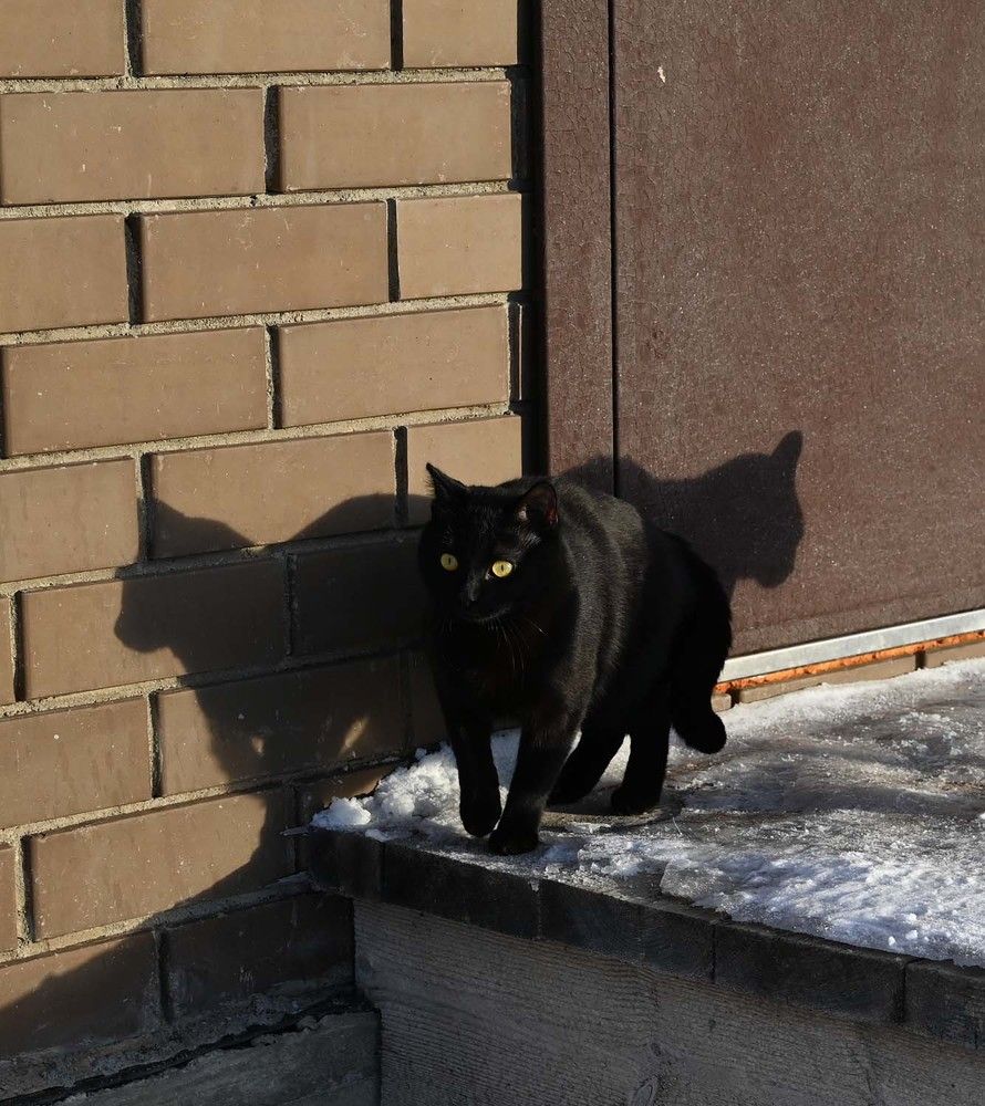 Photograph by Ксения