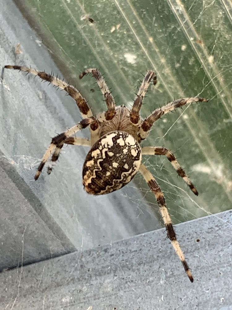 Photograph by Наталья Бирук