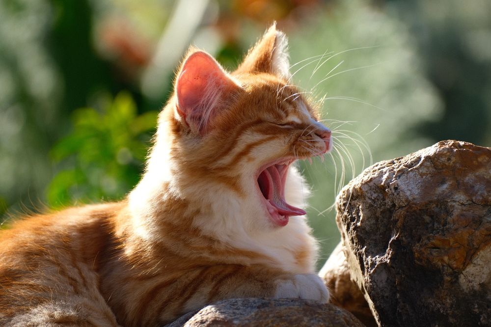 Photograph by Алексей Большаков