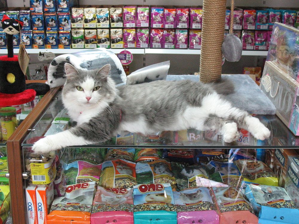 Хозяйка магазина