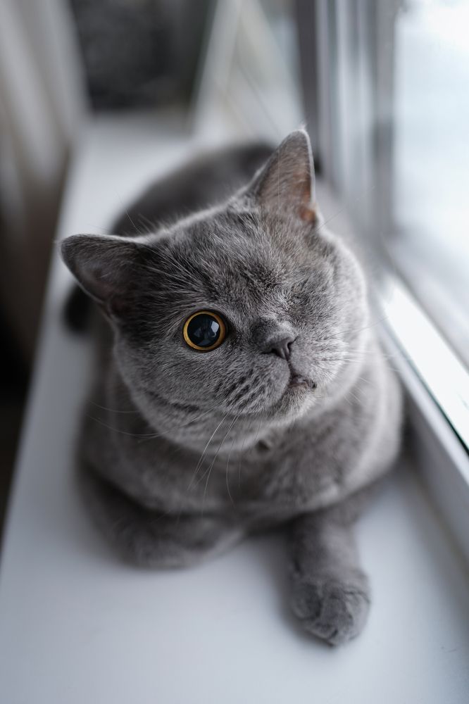 Photograph by Динара Рамилевна