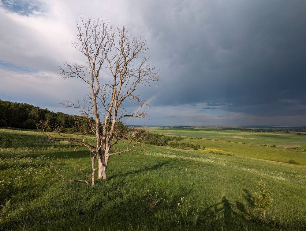 Photograph by Дарья Булавина