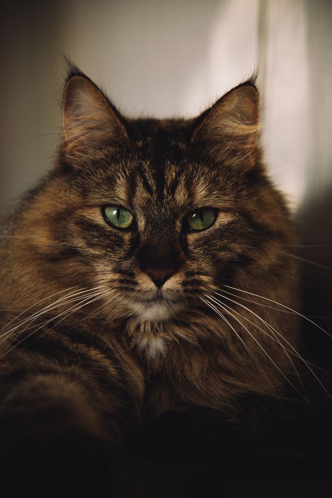 Photograph by Viktorija