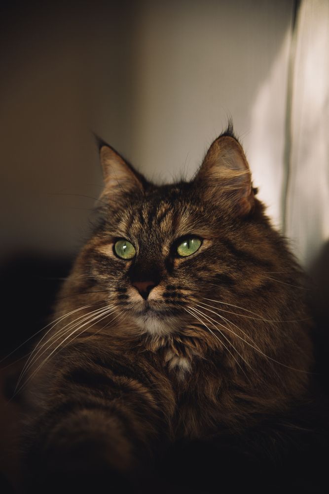 Photograph by Viktorija