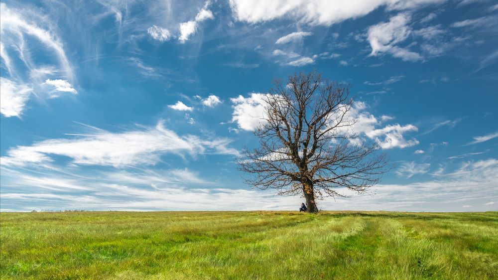 Photograph by Георги Георгиев