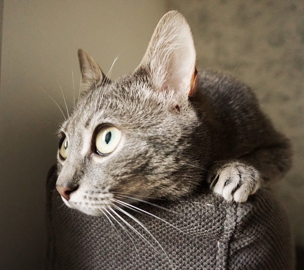 Photograph by Дмитрий Соколов