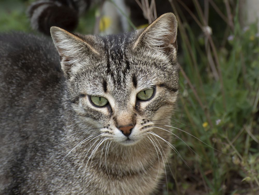 Photograph by Geo Lib