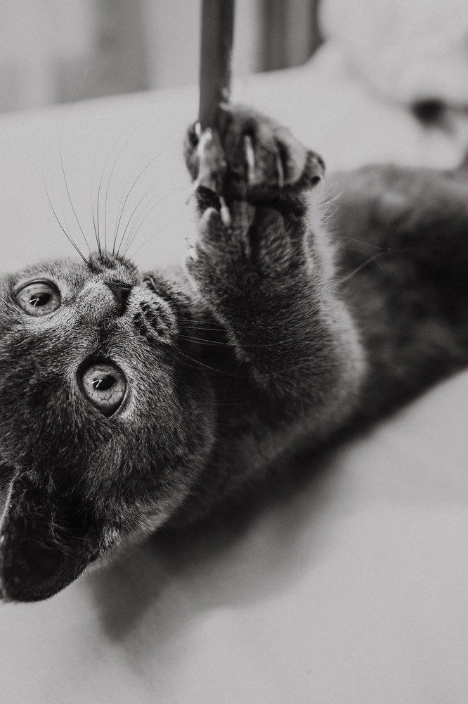 Photograph by Ольга Носкова