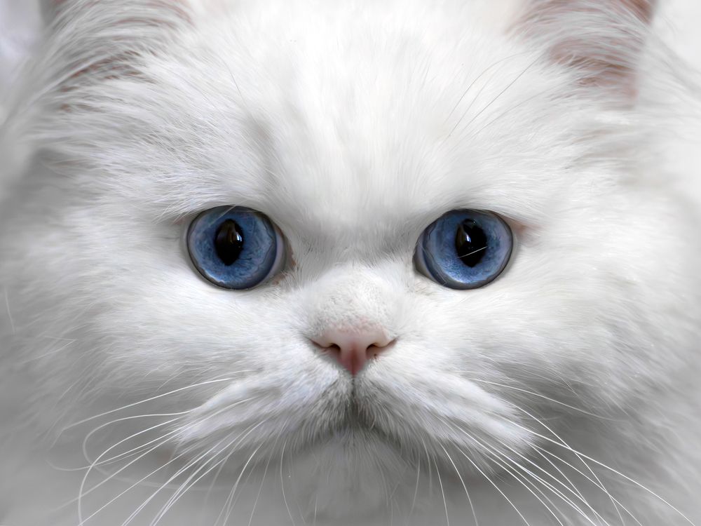 Photograph by Laurentiu Lupascu