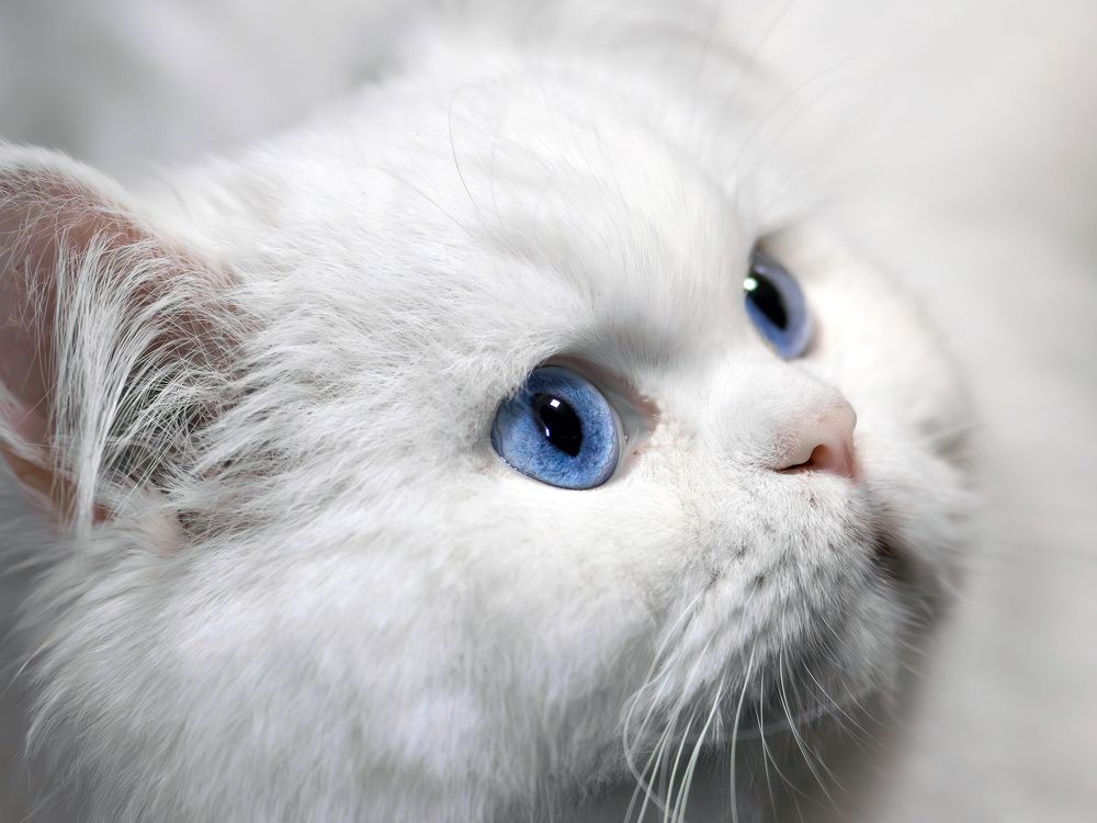 Photograph by Laurentiu Lupascu