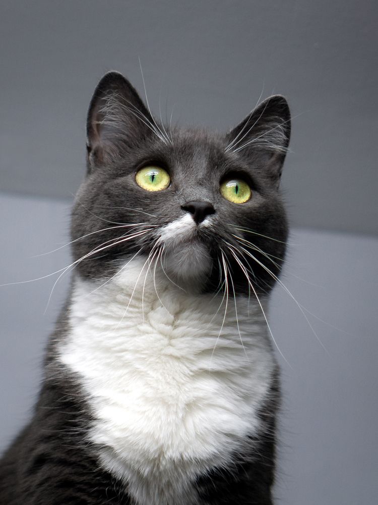 Photograph by KirillK