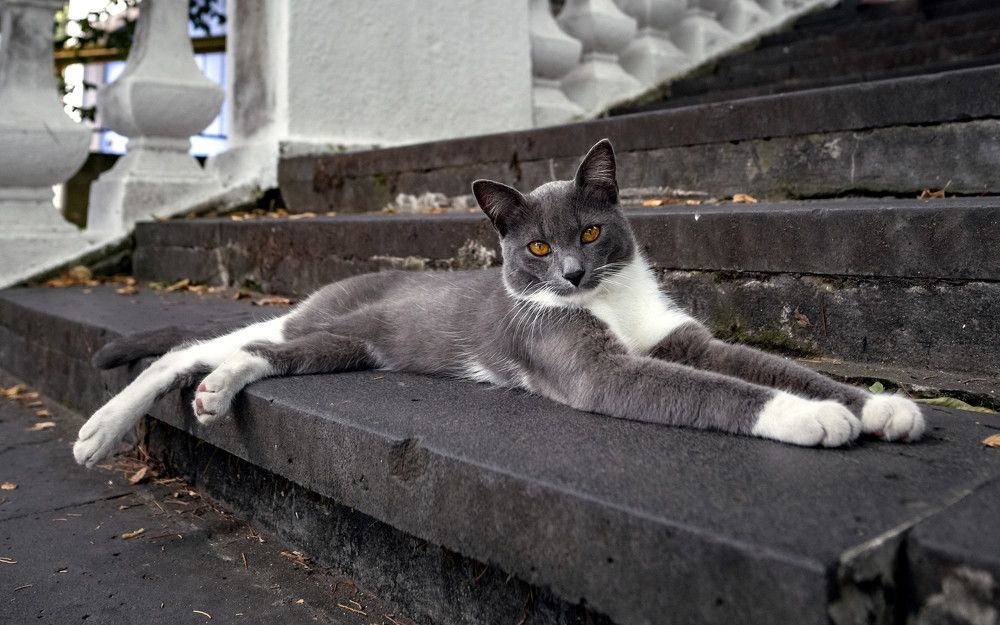 Photograph by KirillK