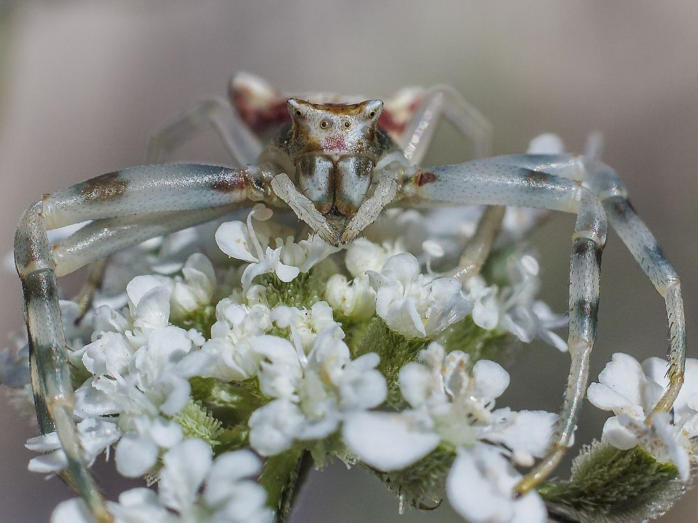 Photograph by Laurentiu Lupascu