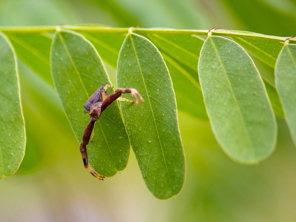 Photograph by Laurentiu Lupascu