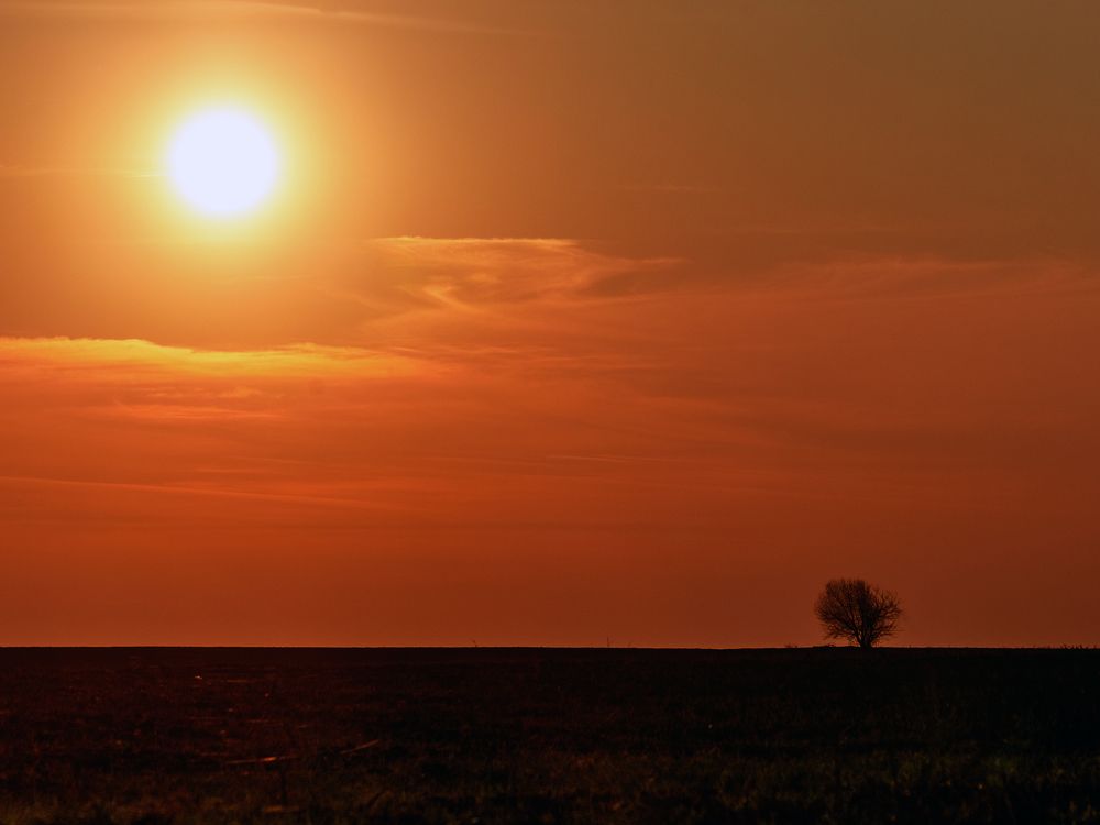 Photograph by Laurentiu Lupascu