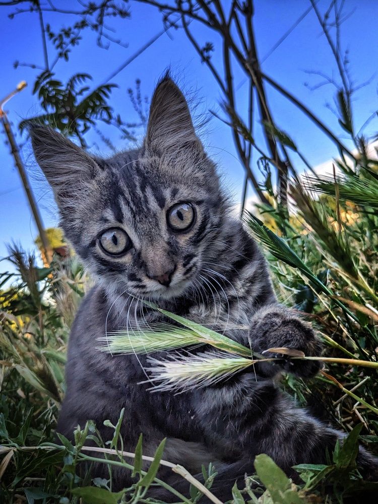 Photograph by Константин Косяков