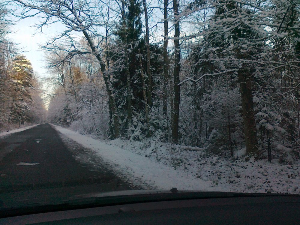 Photograph by Александр Борисович Шкурат