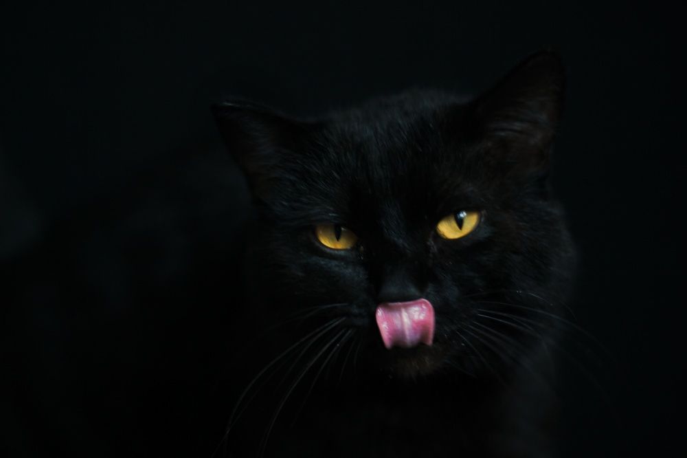 Photograph by Анастасия Молчанова