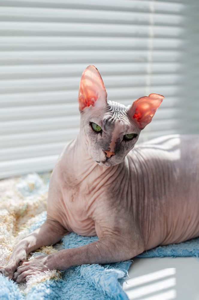 Photograph by Олеся Лагутина