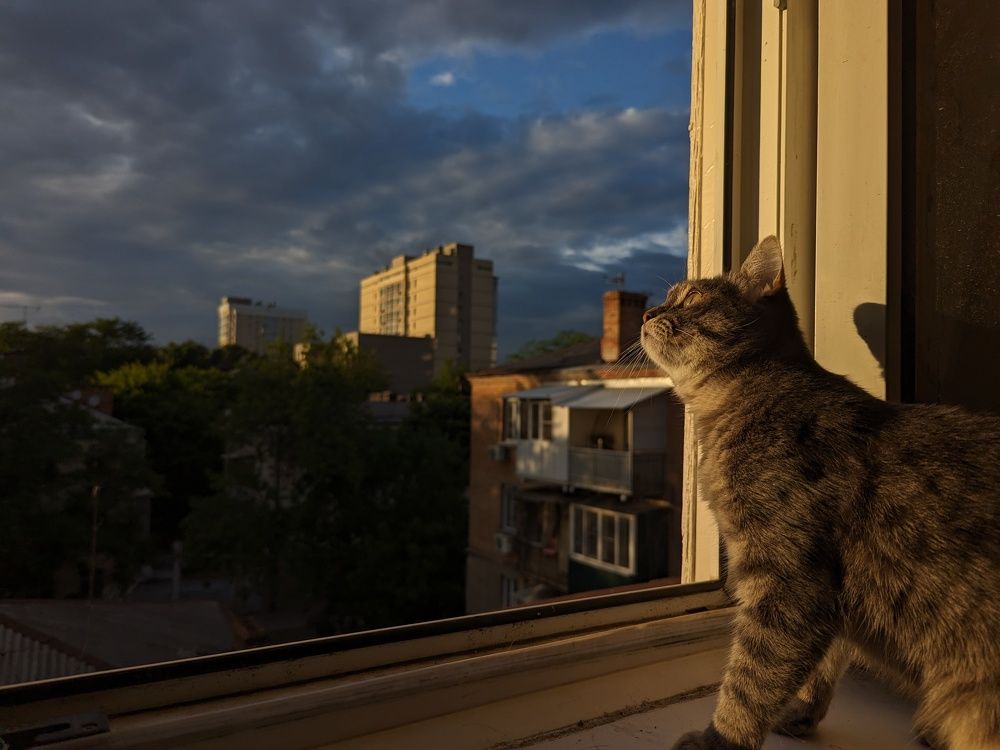 Photograph by Ольга Клименко