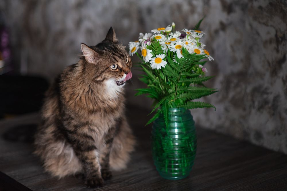 Photograph by Ляхова Ольга