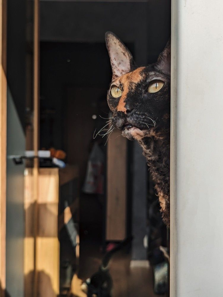 Фотография автора Юлия Дударёнок