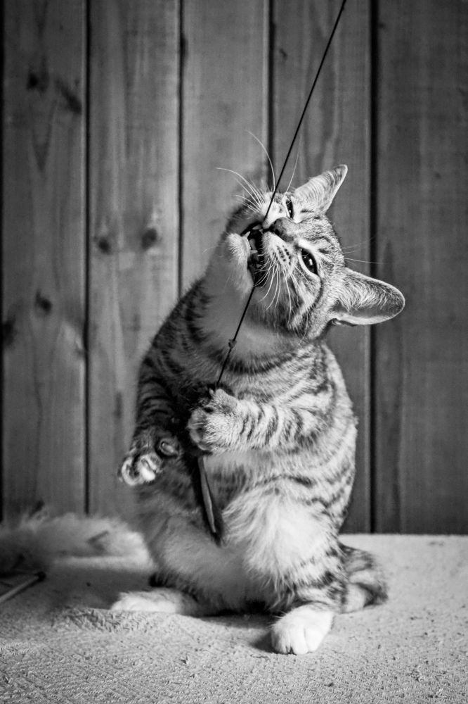 Photograph by Наталия Трофимова