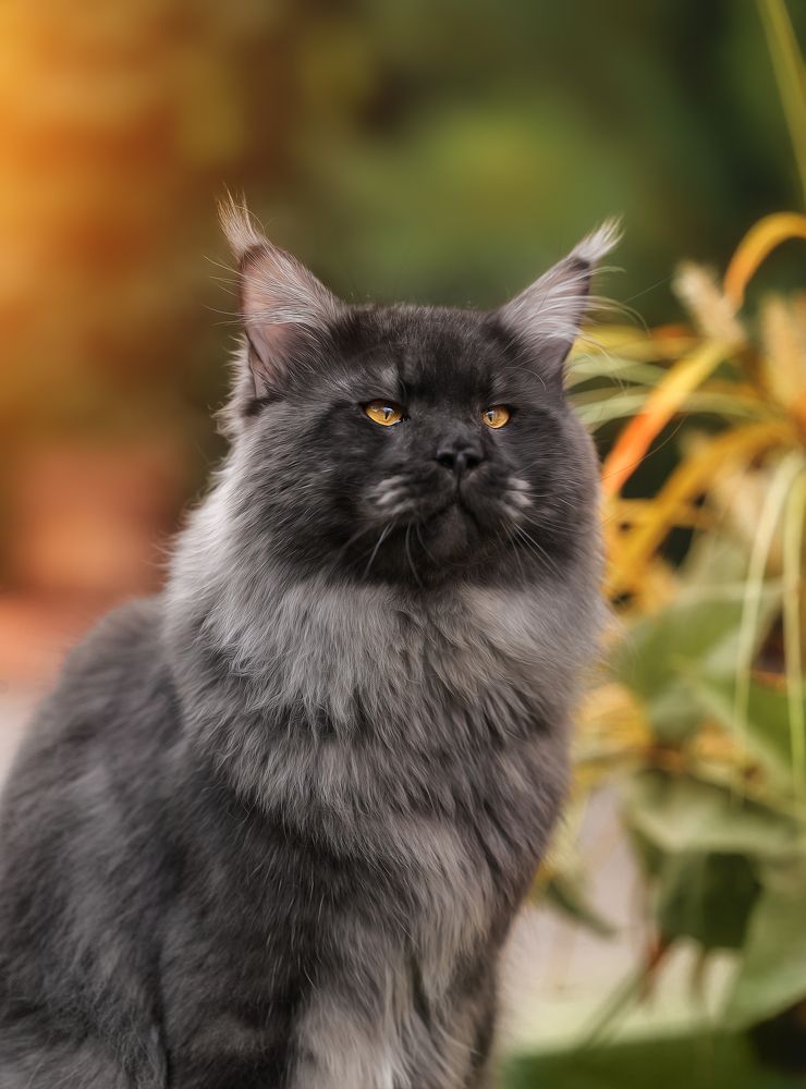 Фотография автора Ольга