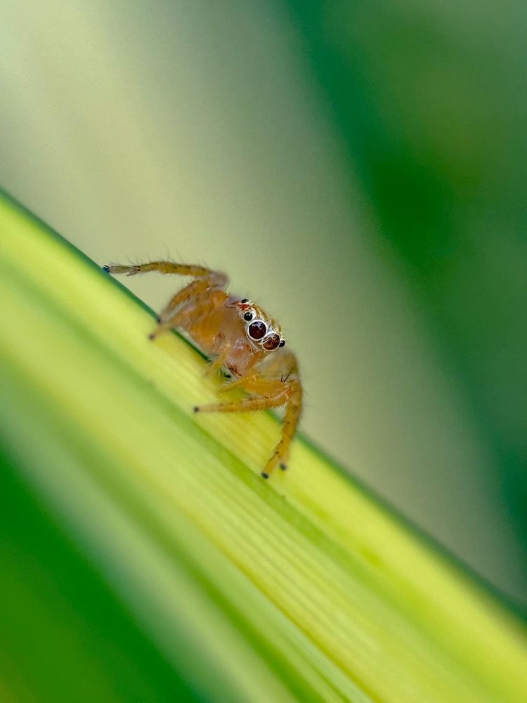 Photograph by Thein Win Tun