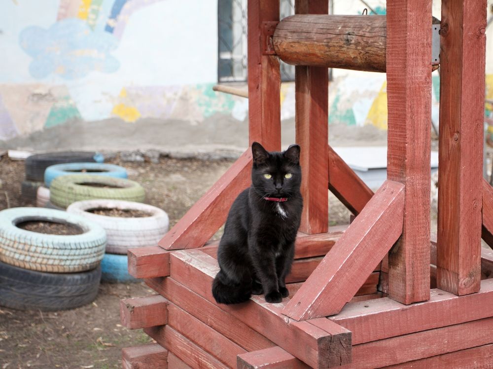 Photograph by Elena Bogomolova