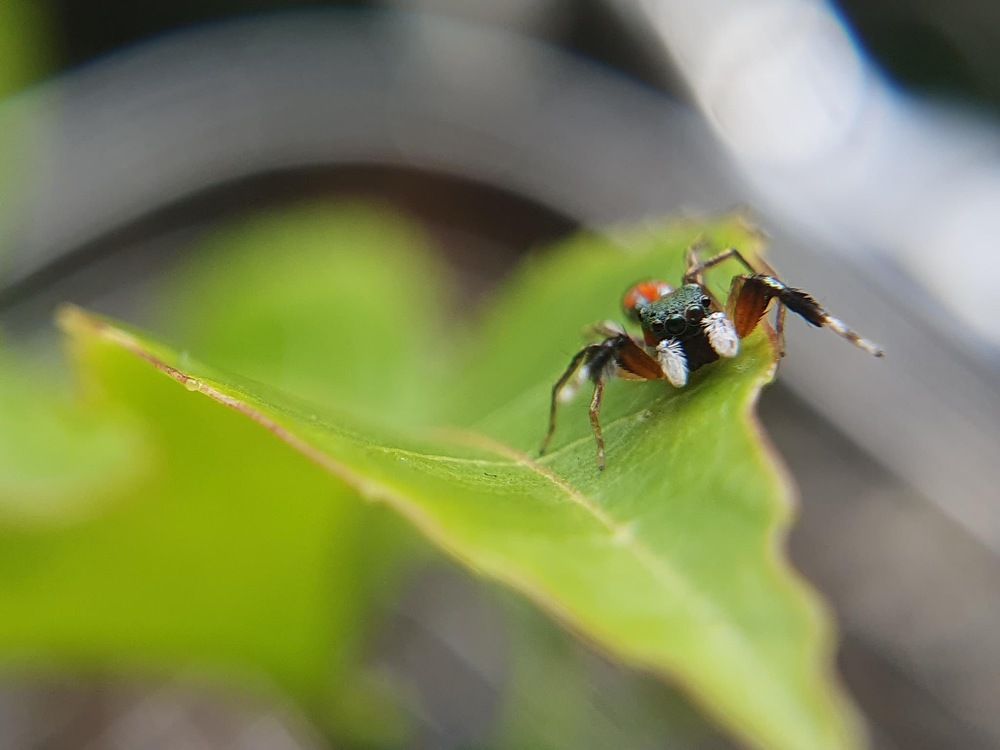 Photograph by Thein Win Tun