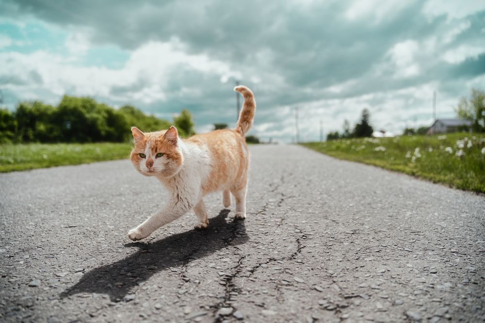 Photograph by Александр Сток