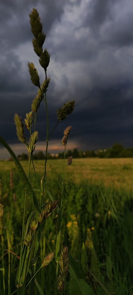 Photograph by Екатерина Сковорода