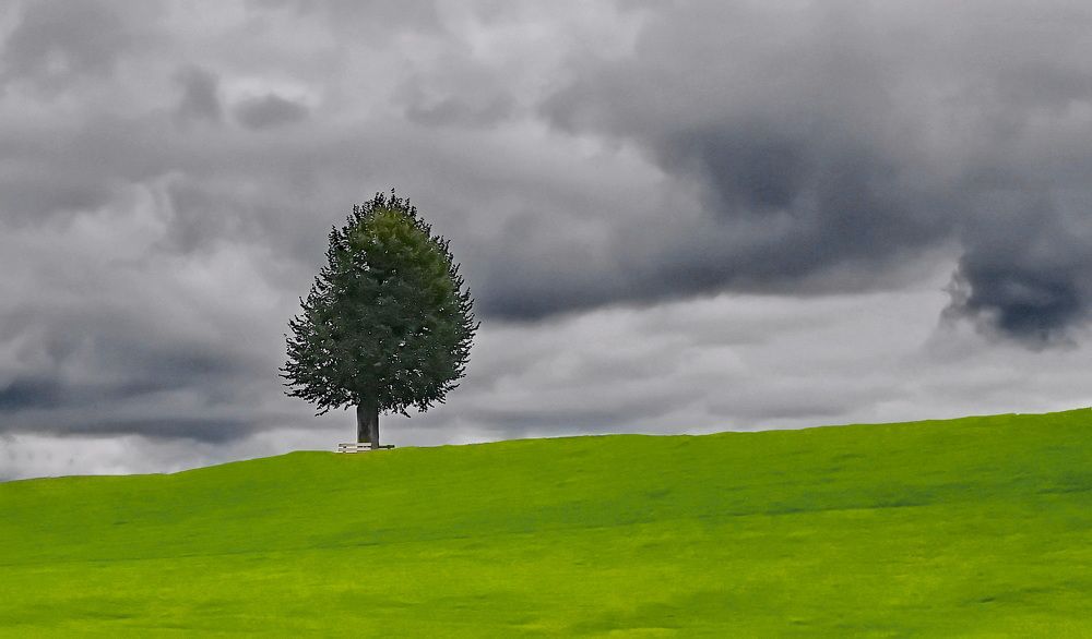 Photograph by Лидия Ушакова