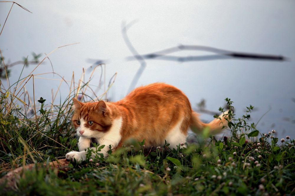 Photograph by Анна Шаповалова