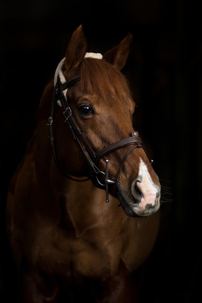 Photograph by Zsuzsanna Kata Fürstné Horváth